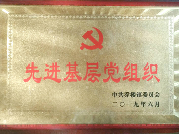 鄭州建新獲得“基層黨組織”榮譽(yù)獎(jiǎng)